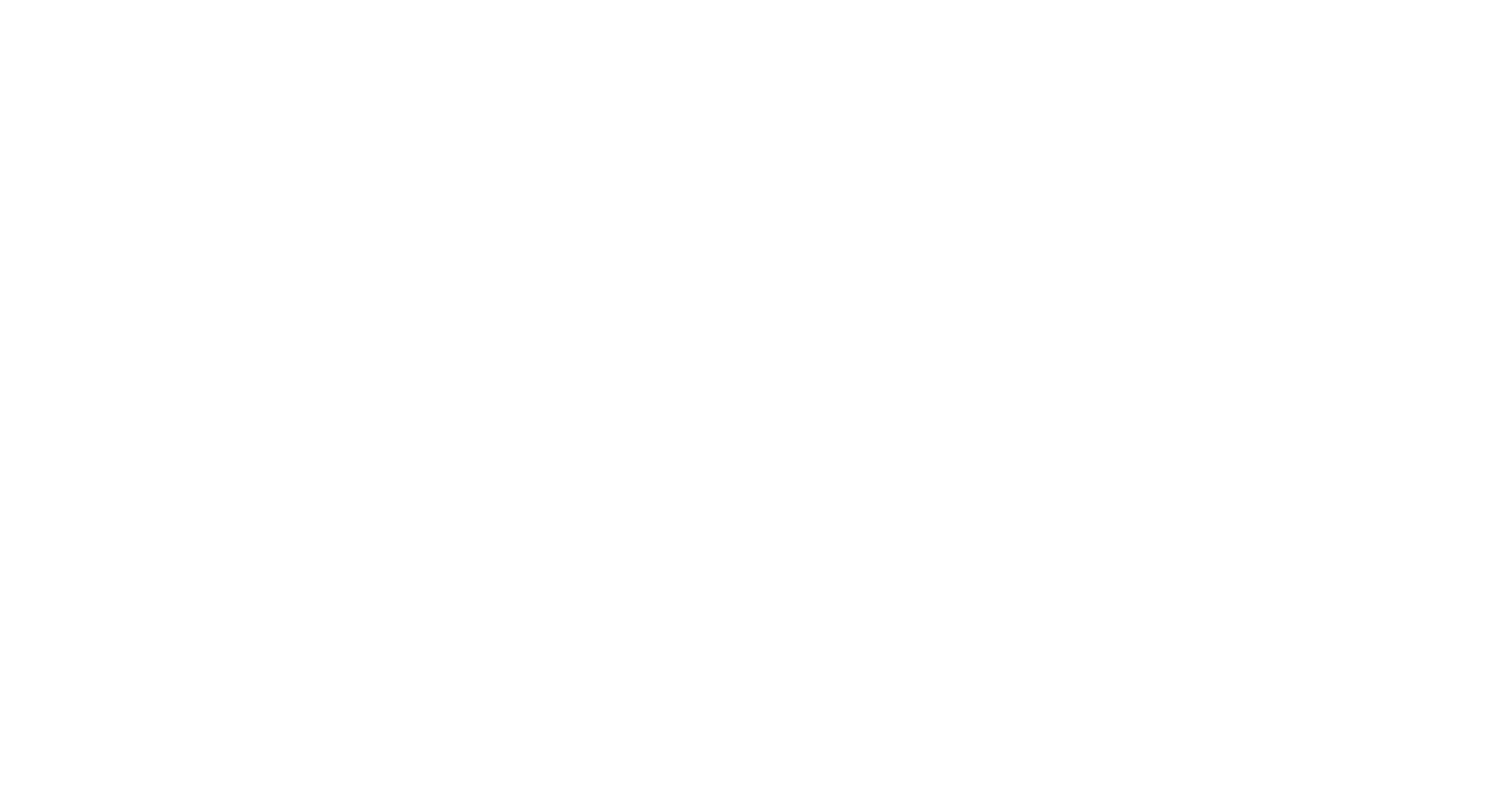 amerian-digisol-min.png